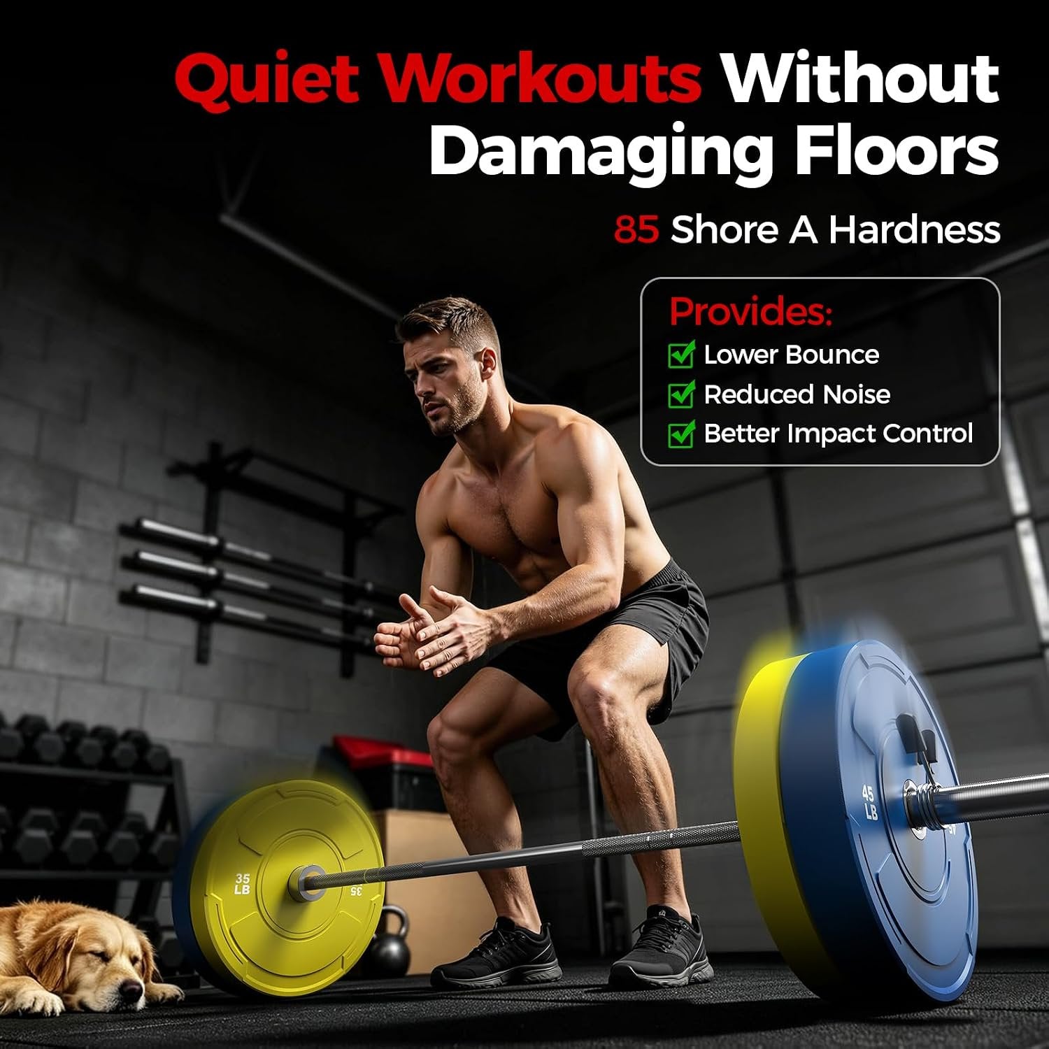 2-Inch Olympic Bumper Plates Set, 6Pcs(each pair 10,25,45 lb) Colored Virgin Rubber Weight Barbell Plates for Strength Training, Home Gym Weightlifting